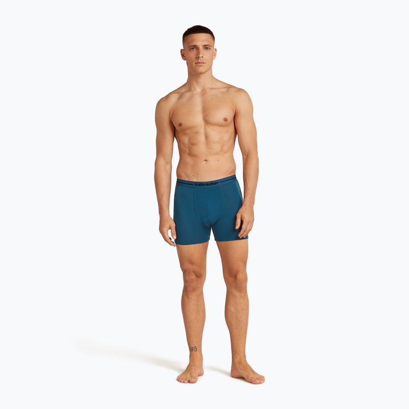 Men's thermal boxer shorts icebreaker Anatomica atlantis 3