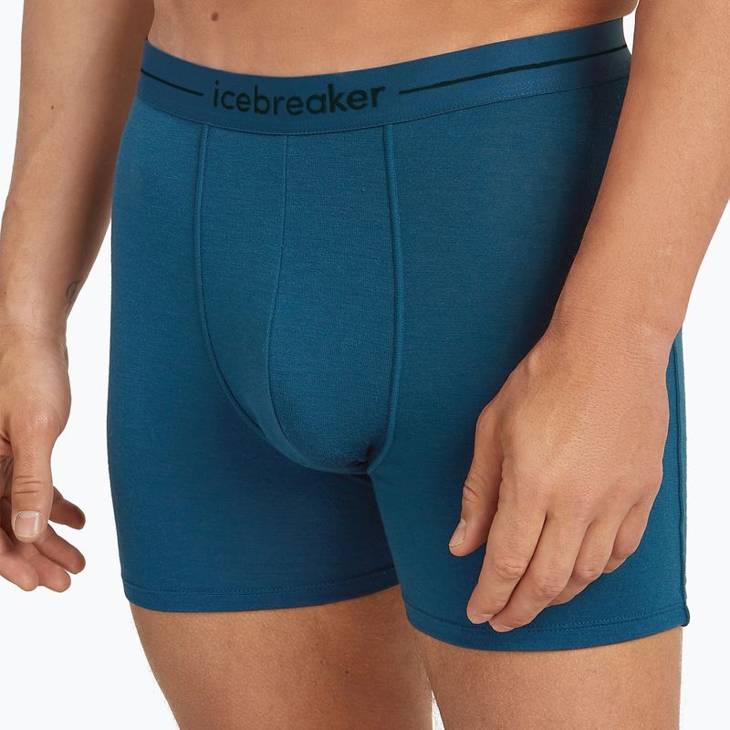 Men's thermal boxer shorts icebreaker Anatomica atlantis 5