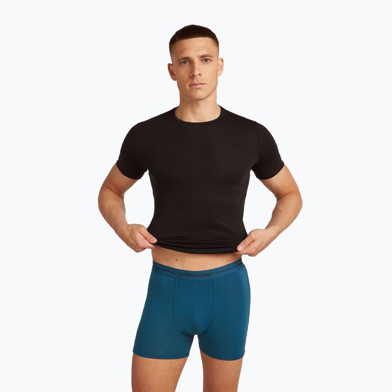 Men's thermal boxer shorts icebreaker Anatomica atlantis 7