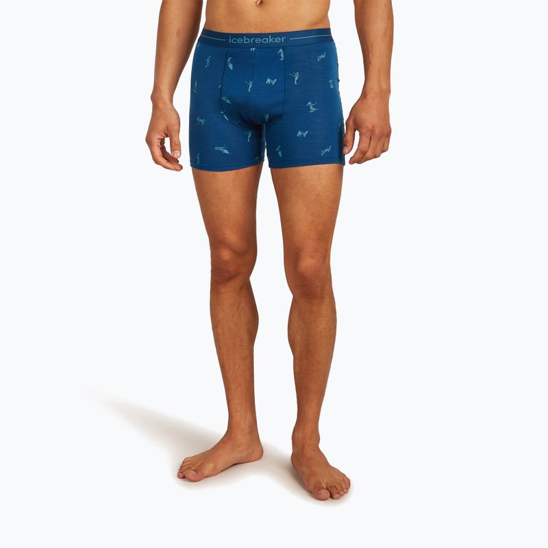 Men's thermal boxer briefs icebreaker Anatomica Snow Day atlantis/topaz/aop 2