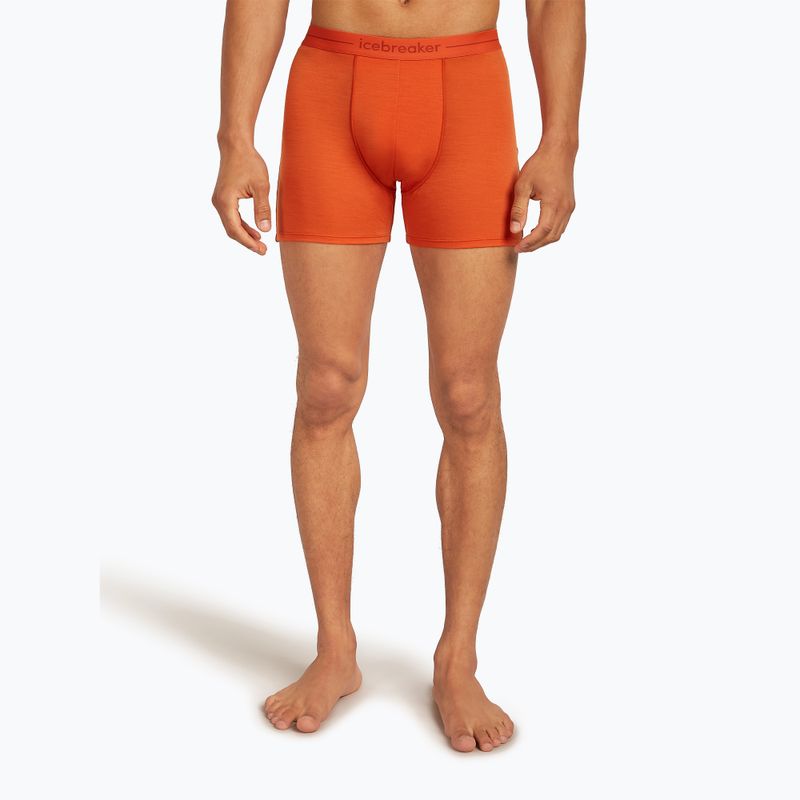 Men's thermal boxer shorts icebreaker Anatomica fervid 2