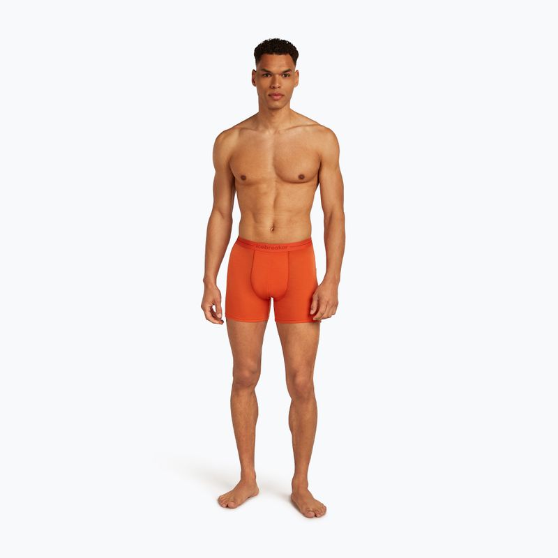 Men's thermal boxer shorts icebreaker Anatomica fervid 3