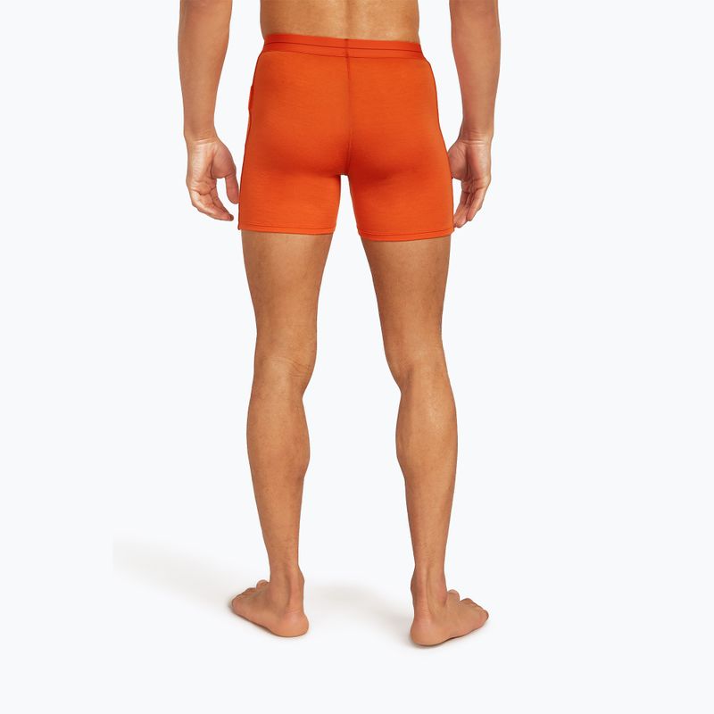 Men's thermal boxer shorts icebreaker Anatomica fervid 4