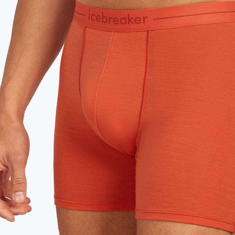 Men's thermal boxer shorts icebreaker Anatomica fervid 5