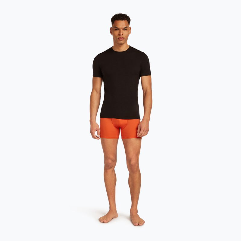 Men's thermal boxer briefs icebreaker Anatomica fervid 6