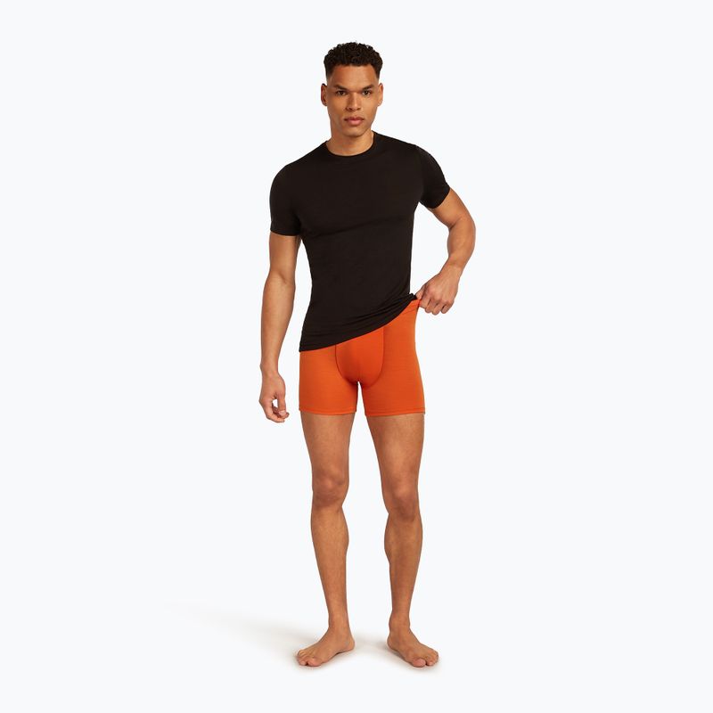 Men's thermal boxer shorts icebreaker Anatomica fervid 7