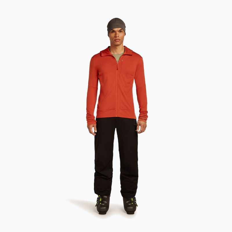 Men's sweatshirt icebreaker Merino 260 Quantum IV Zip Hoodie agate 2