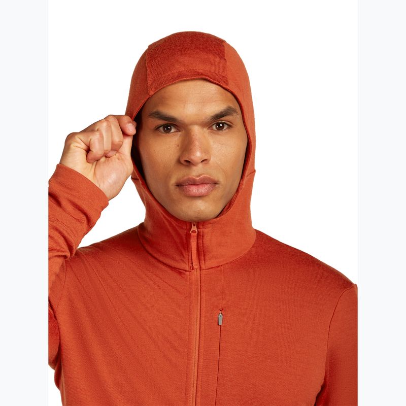 Men's sweatshirt icebreaker Merino 260 Quantum IV Zip Hoodie agate 5