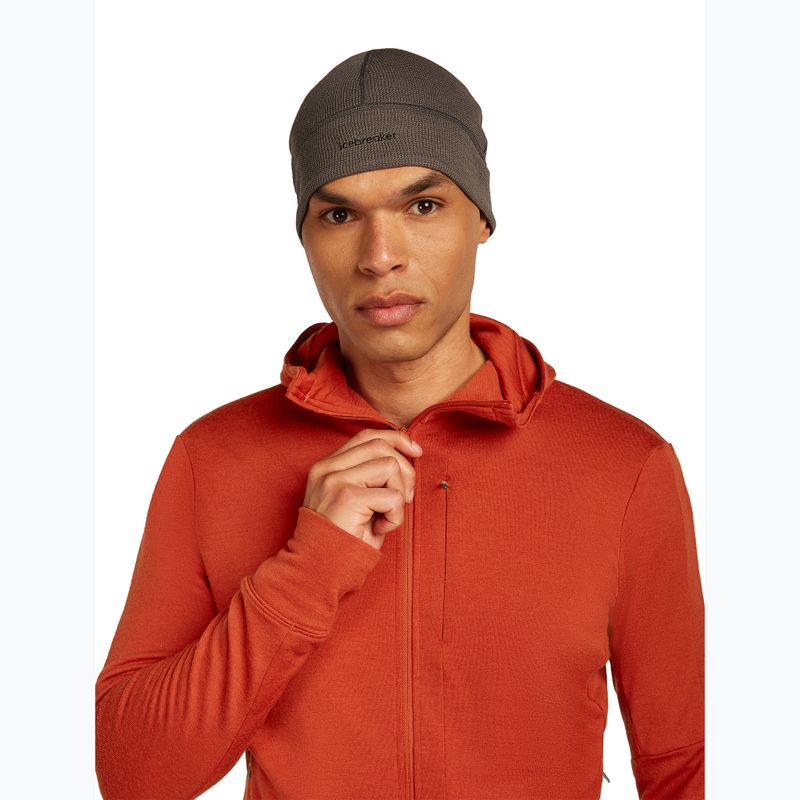 Men's sweatshirt icebreaker Merino 260 Quantum IV Zip Hoodie agate 6
