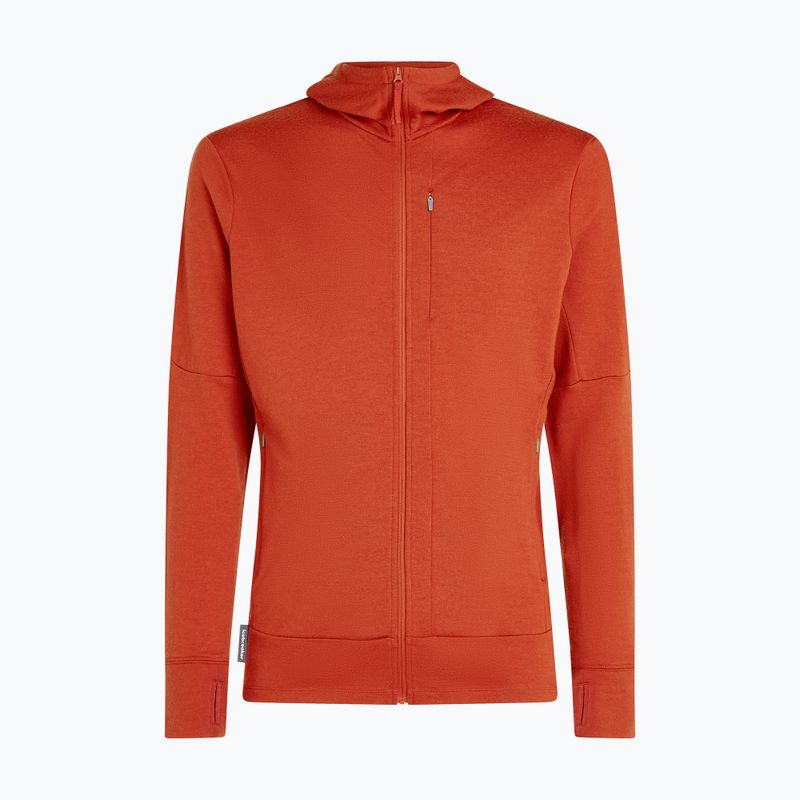 Men's sweatshirt icebreaker Merino 260 Quantum IV Zip Hoodie agate 10