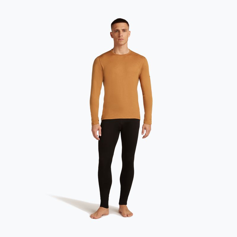 Men's thermal active sweatshirt icebreaker 260 Tech Crewe trail 2