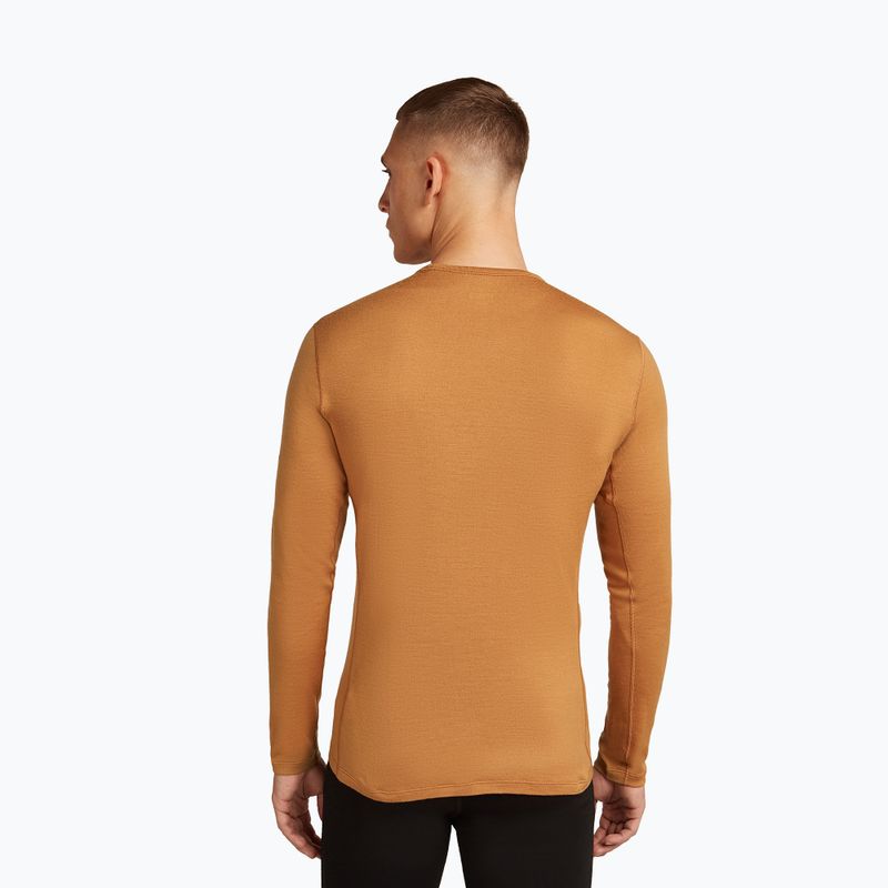 Men's thermal active sweatshirt icebreaker 260 Tech Crewe trail 3