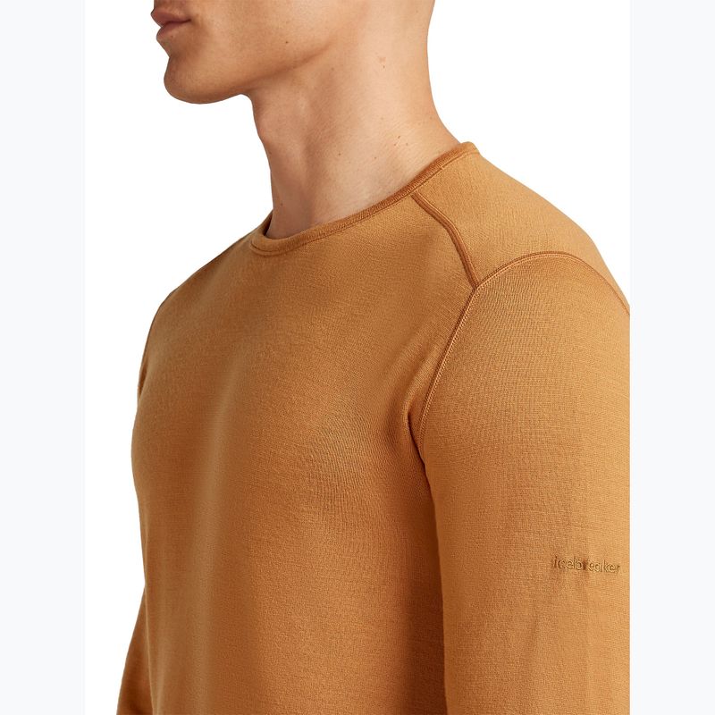 Men's thermal active sweatshirt icebreaker 260 Tech Crewe trail 5