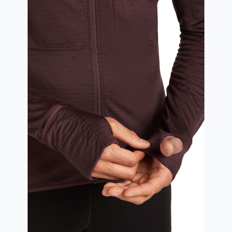 Men's trekking sweatshirt icebreaker Merino 200 RealFleece Descender Zip Hoodie java 9
