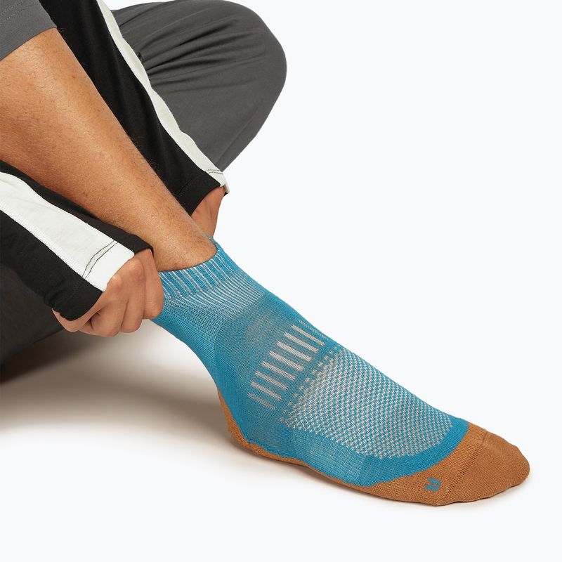 Men's Icebreaker Merino Hike+ Light Mini topaz/trail socks 3