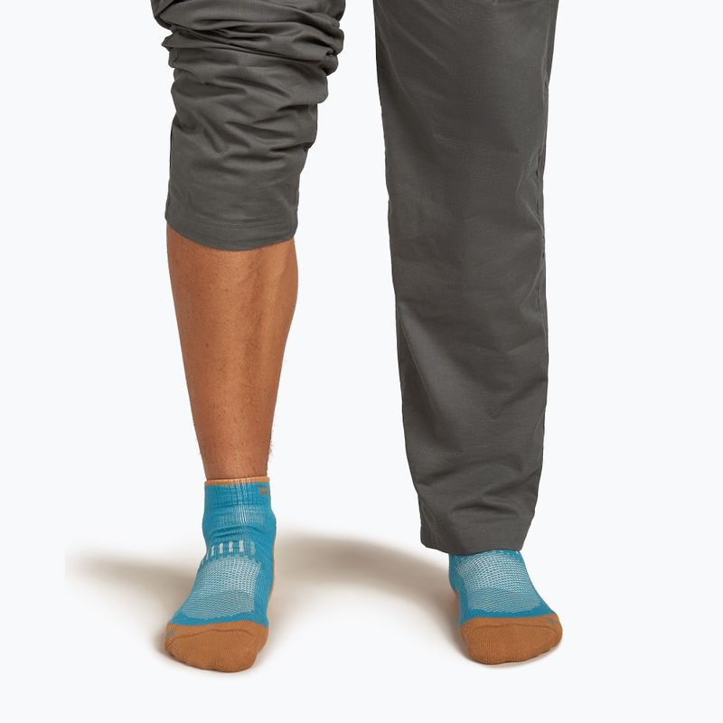 Men's Icebreaker Merino Hike+ Light Mini topaz/trail socks 4