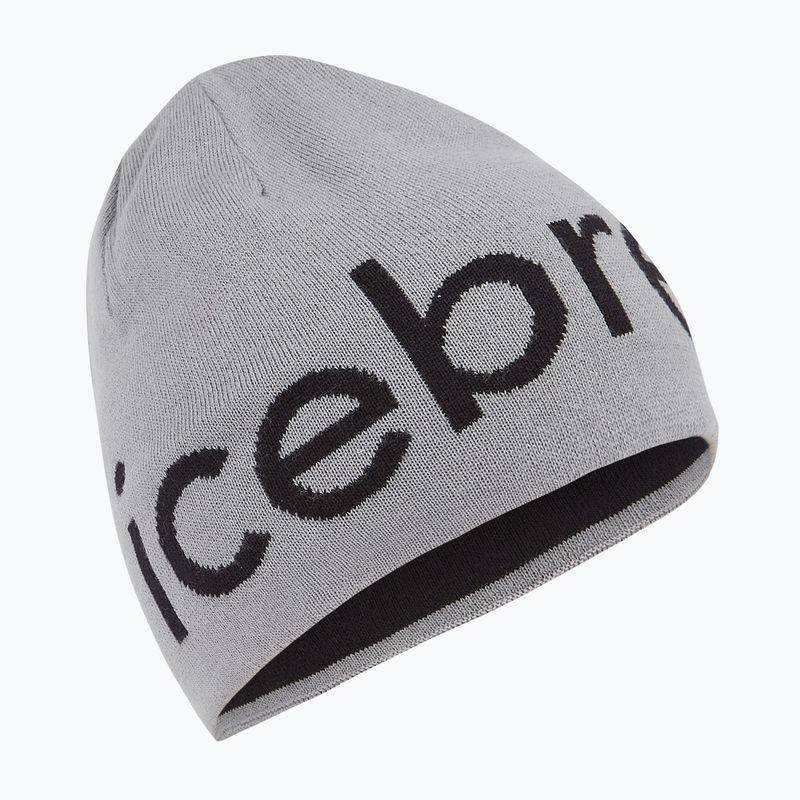 Winter hat icebreaker Merino Icebreaker Beanie alloy/black