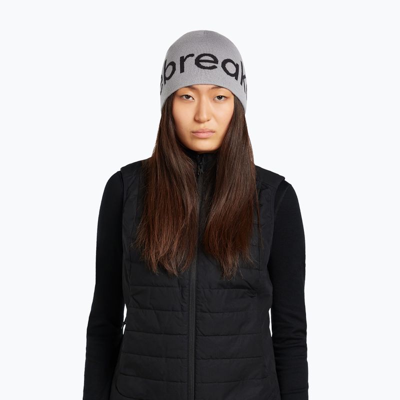 Winter hat icebreaker Merino Icebreaker Beanie alloy/black 6