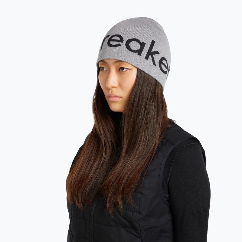 Winter hat icebreaker Merino Icebreaker Beanie alloy/black 7