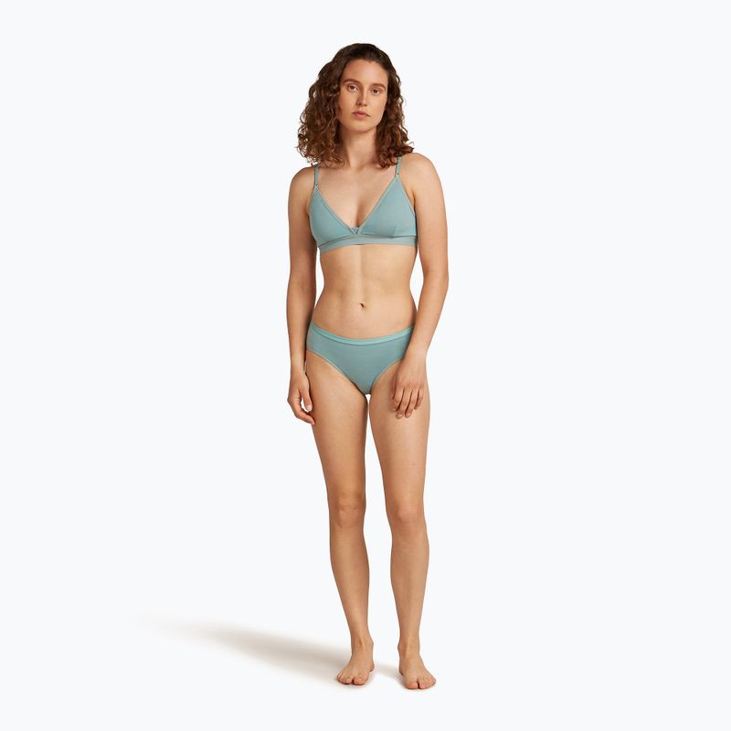 Women's thermal panties icebreaker Siren Hipkini hydro 3