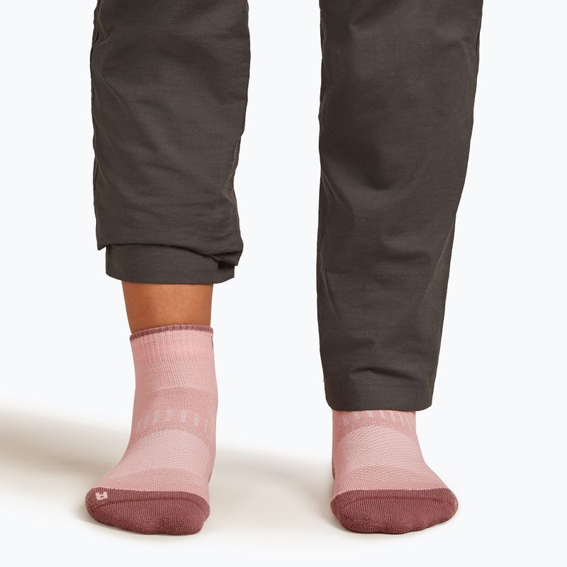 Icebreaker women's socks Merino Hike+ Light Mini blush/summit 4