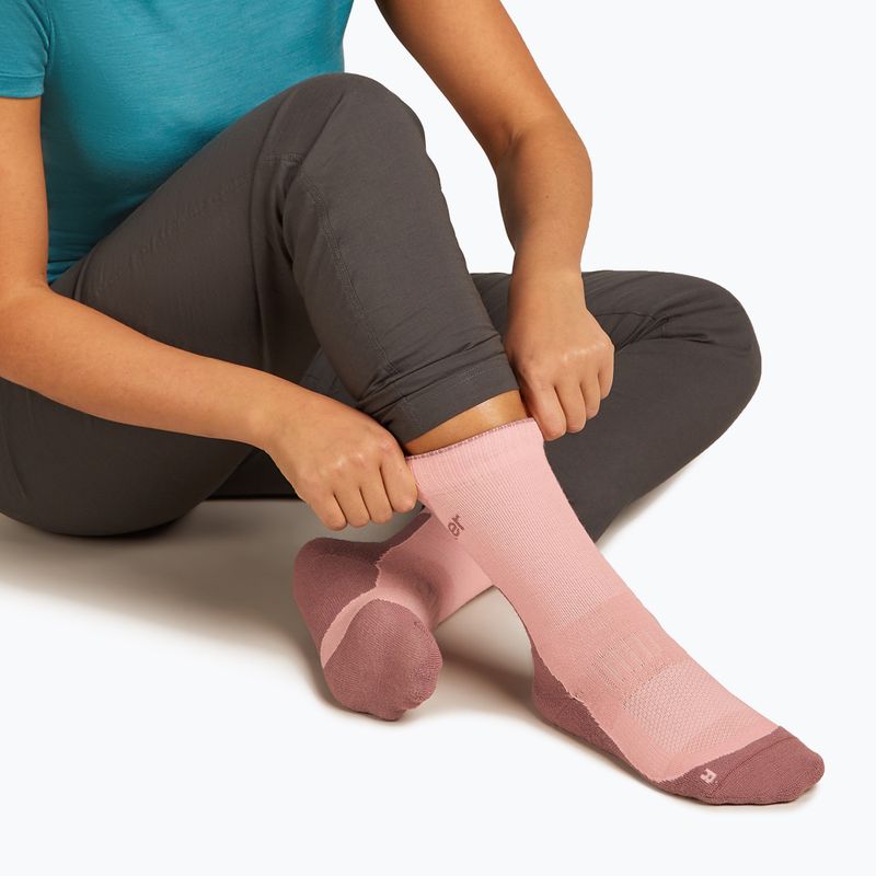 Icebreaker women's socks Merino Hike+ Light Crew blush/summit 3
