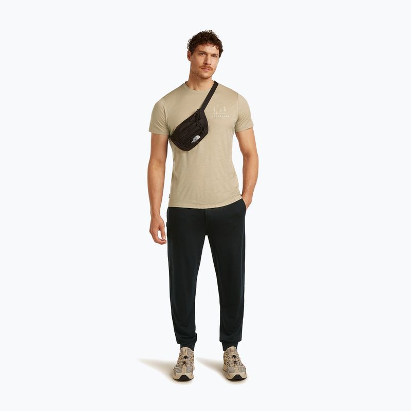 Men's T-shirt icebreaker Merino 150 Tech Lite Peaceful Pass Tee flagstone 4