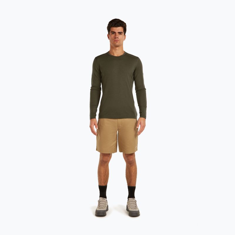 Men's thermal top Icebreaker 200 Oasis Crewe dark loden 2
