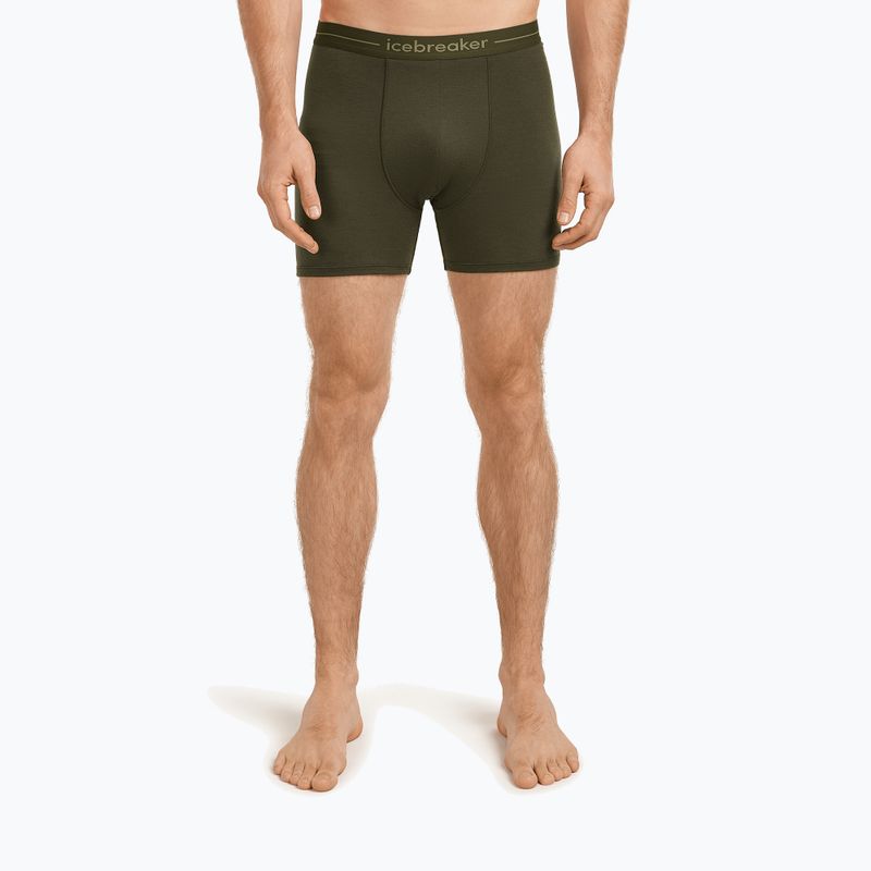 Men's thermal boxer briefs icebreaker Anatomica dark loden 2