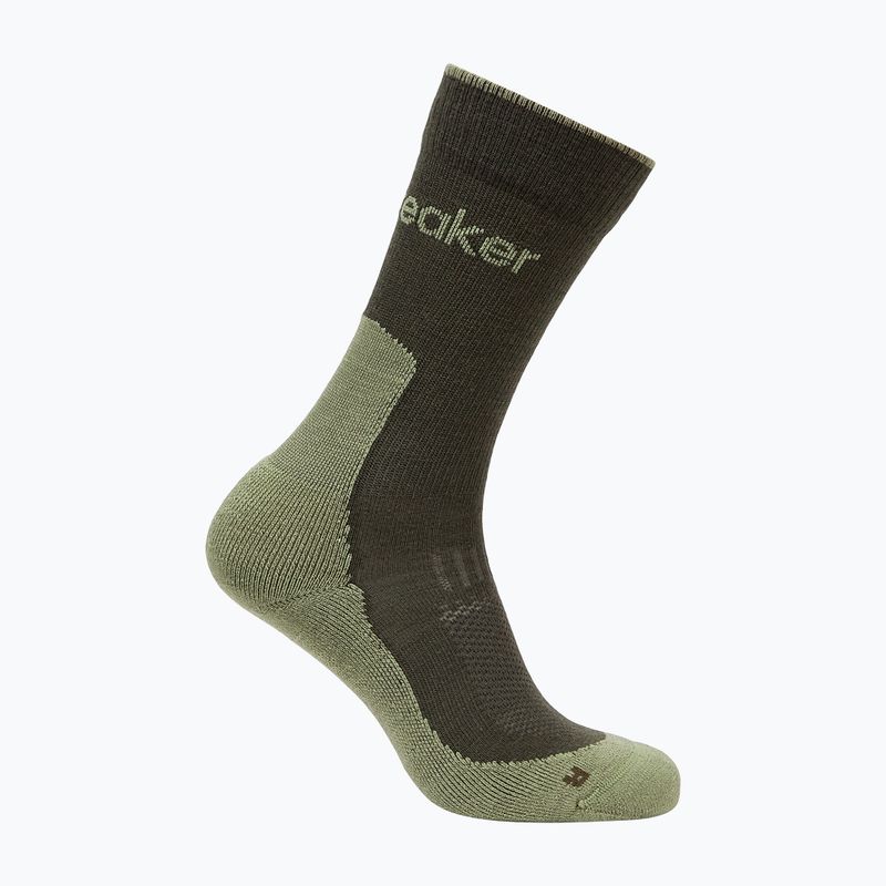 Men's socks icebreaker Merino Hike+ Light Crew dark loden/lichen