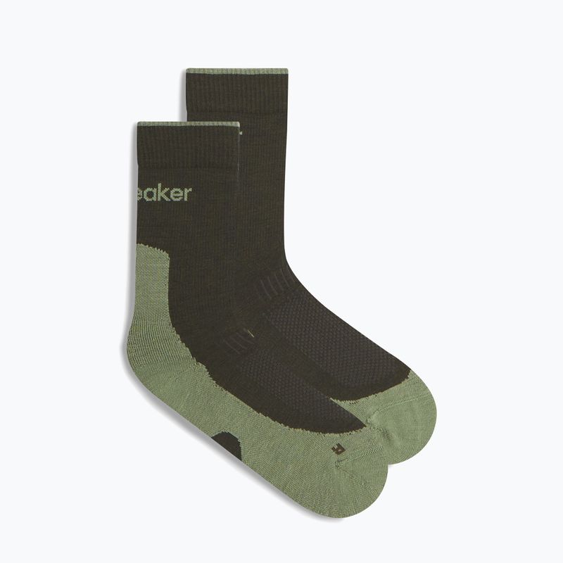 Men's socks icebreaker Merino Hike+ Light Crew dark loden/lichen 2
