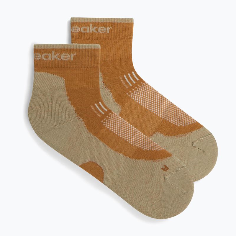 Men's socks Icebreaker Merino Hike+ Light Mini trail/flagstone 2