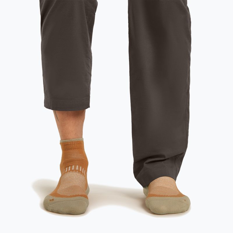 Men's socks Icebreaker Merino Hike+ Light Mini trail/flagstone 3