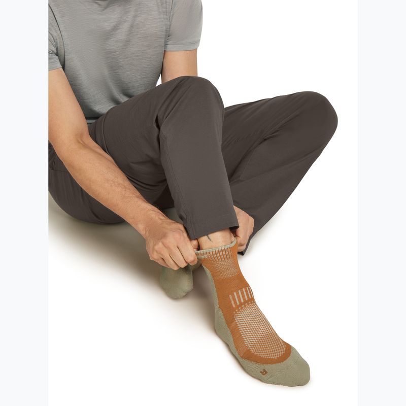 Men's socks Icebreaker Merino Hike+ Light Mini trail/flagstone 4