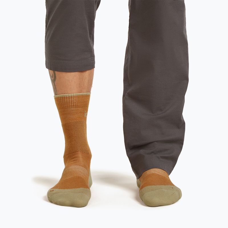 Men's socks Icebreaker Merino Hike+ Medium Crew trail/flagstone 3