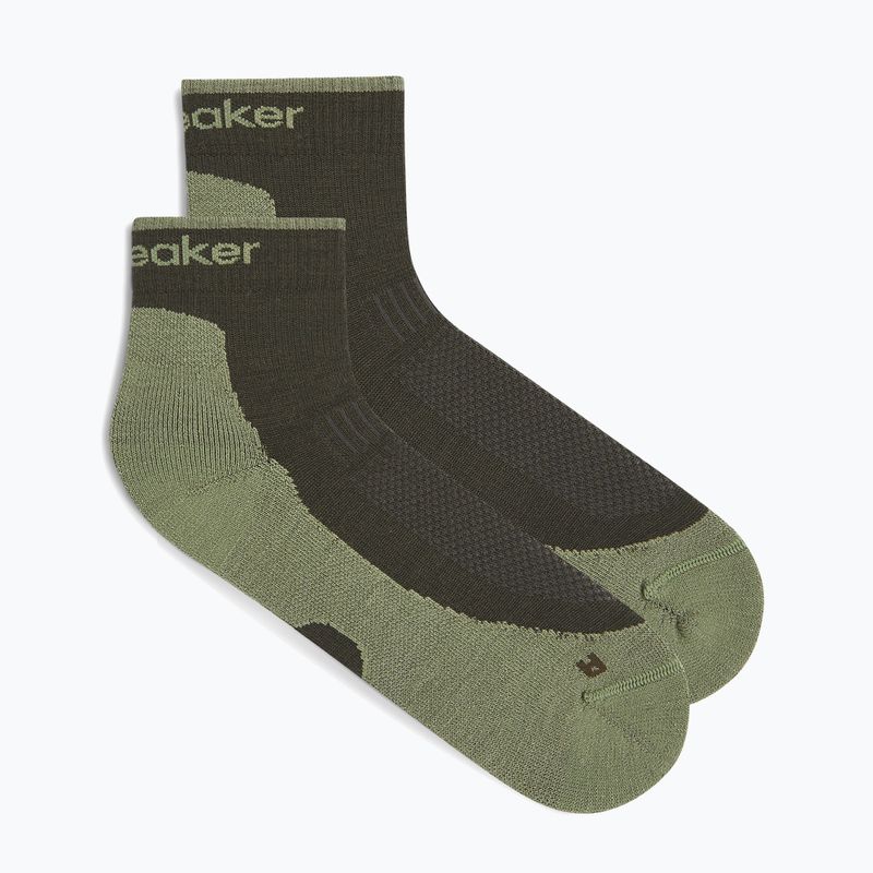 Men's socks Icebreaker Merino Hike+ Light Mini dark loden/lichen 6