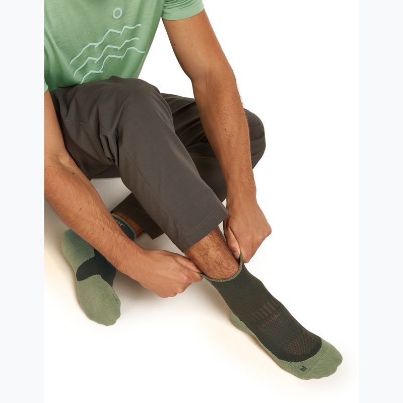 Men's socks Icebreaker Merino Hike+ Light Mini dark loden/lichen 8