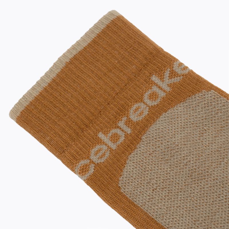 Men's socks Icebreaker Merino Hike+ Medium Crew trail/flagstone 3