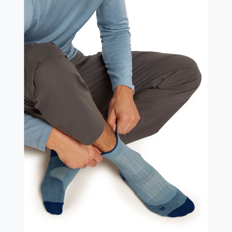 Men's socks Icebreaker Merino Hike+ Ultralight Quarter flint blue/atlantis 4