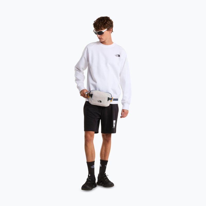 Men's trekking shorts The North Face Box Nse Light Regular Shorts black 2