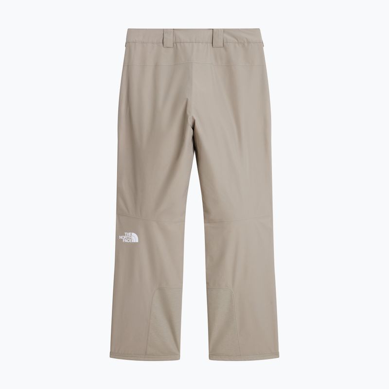 Men's ski trousers The North Face Descendit stone slab 5