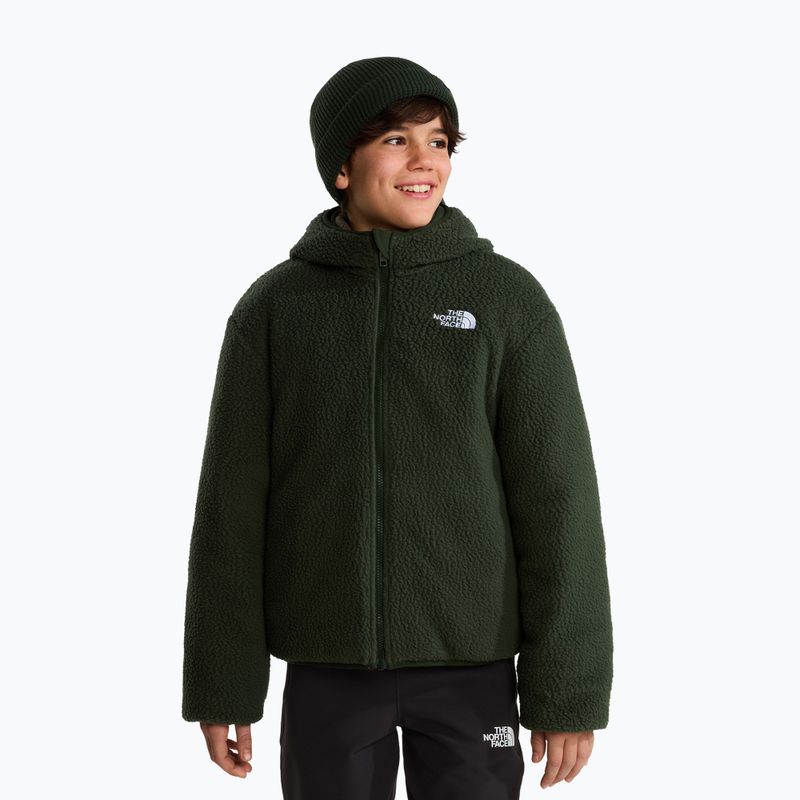Children's insulated jacket The North Face Reversible Shasta FZ Hooded caraway seed/bo 5