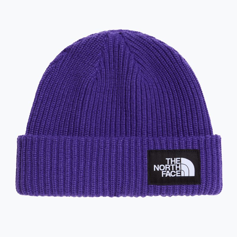 Winter hat The North Face Salty Lined peak purple
