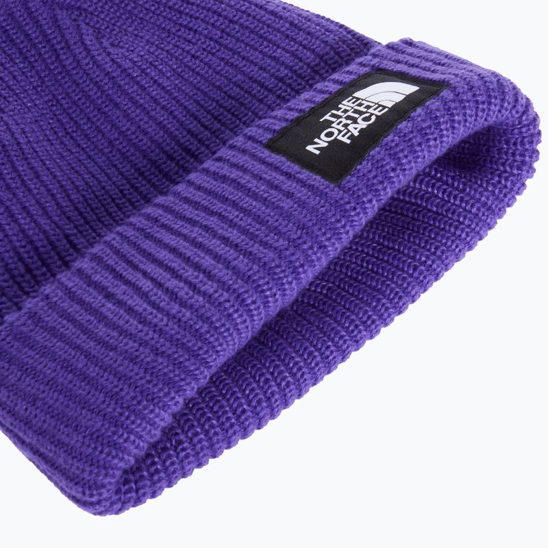 Winter hat The North Face Salty Lined peak purple 2