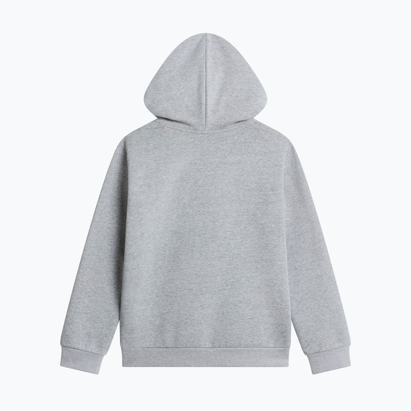 Children's sweatshirt The North Face Evolution Simple Dome Pullover Hood tnf pale grey heather 2