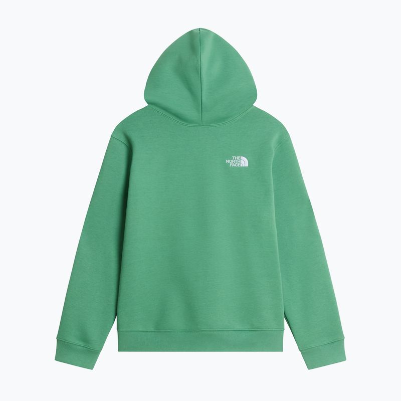 Children's sweatshirt The Noryh Face Essential Drew Peak Hoodie dimmed algae 2