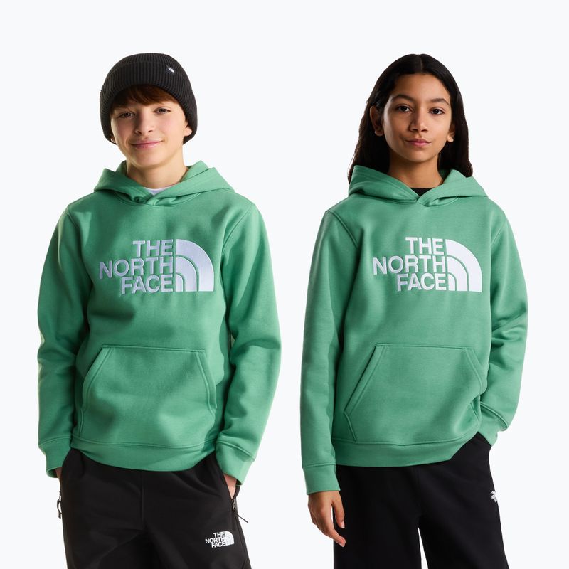 Children's sweatshirt The Noryh Face Essential Drew Peak Hoodie dimmed algae 3