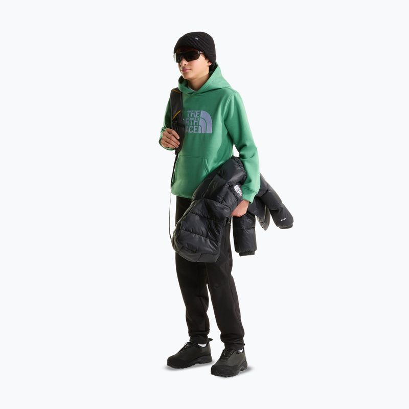Children's sweatshirt The Noryh Face Essential Drew Peak Hoodie dimmed algae 4