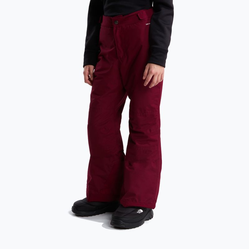 Children's ski trousers The North Face Freedom Insulated burgundy crush