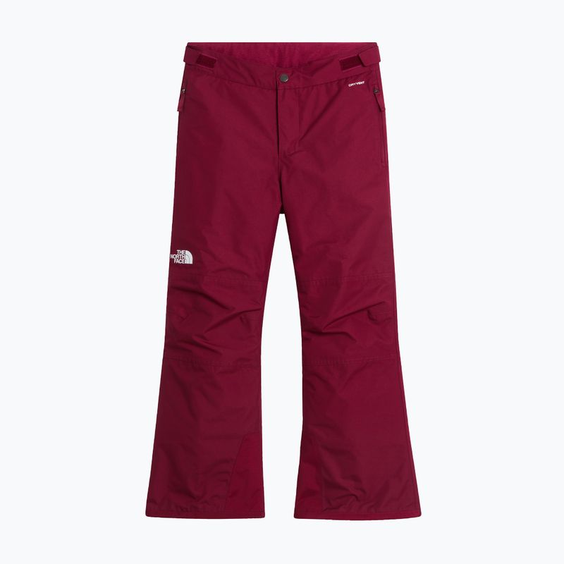 Children's ski trousers The North Face Freedom Insulated burgundy crush 4
